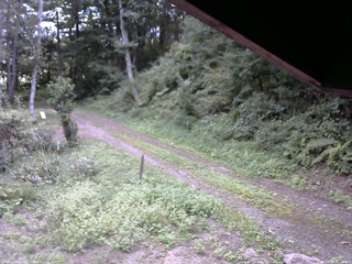 長野県菅平高原 ゆたか山荘 東側(坂下) 2025/09/03 12:15
