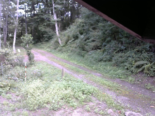 長野県菅平高原 ゆたか山荘 東側(坂下) 2025/09/03 12:30