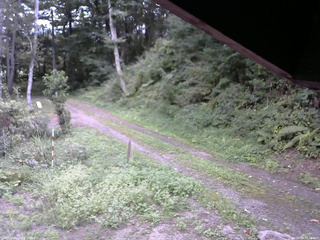 長野県菅平高原 ゆたか山荘 東側(坂下) 2025/09/03 12:45