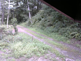 長野県菅平高原 ゆたか山荘 東側(坂下) 2025/09/03 13:00