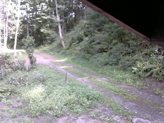 長野県菅平高原 ゆたか山荘 東側(坂下) 2025/09/03 13:30