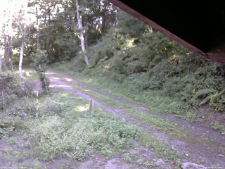 長野県菅平高原 ゆたか山荘 東側(坂下) 2025/09/03 14:45
