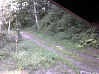 長野県菅平高原 ゆたか山荘 東側(坂下) 2025/09/03 15:15