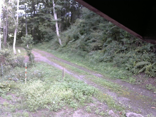 長野県菅平高原 ゆたか山荘 東側(坂下) 2025/09/03 15:30