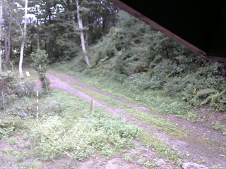長野県菅平高原 ゆたか山荘 東側(坂下) 2025/09/03 15:45