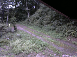 長野県菅平高原 ゆたか山荘 東側(坂下) 2025/09/03 18:00