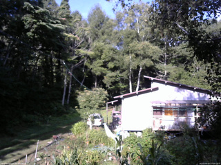 長野県菅平高原 ゆたか山荘 西側(坂上) 2025/09/03 07:00