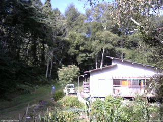 長野県菅平高原 ゆたか山荘 西側(坂上) 2025/09/03 08:30