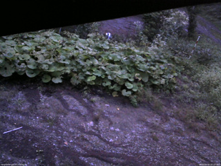 長野県菅平高原 ゆたか山荘 駐車場 2025/09/03 05:15