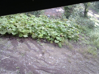 長野県菅平高原 ゆたか山荘 駐車場 2025/09/03 07:00