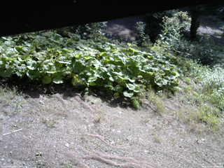 長野県菅平高原 ゆたか山荘 駐車場 2025/09/03 08:30