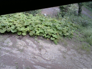 長野県菅平高原 ゆたか山荘 駐車場 2025/09/03 13:15