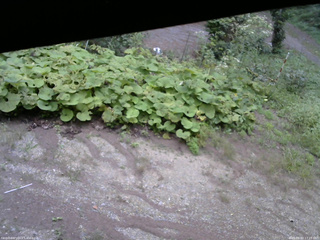 長野県菅平高原 ゆたか山荘 駐車場 2025/09/03 17:15