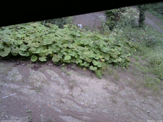 長野県菅平高原 ゆたか山荘 駐車場 2025/09/03 17:45