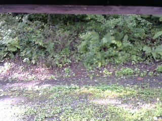 長野県菅平高原 ゆたか山荘 南側 2025/09/04 07:30