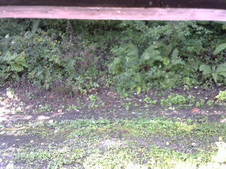 長野県菅平高原 ゆたか山荘 南側 2025/09/04 08:00