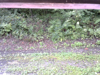 長野県菅平高原 ゆたか山荘 南側 2025/09/04 08:45