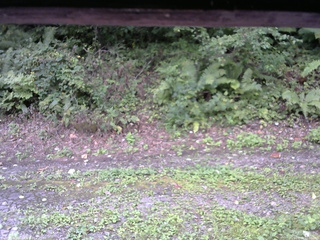 長野県菅平高原 ゆたか山荘 南側 2025/09/04 12:00