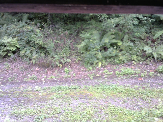 長野県菅平高原 ゆたか山荘 南側 2025/09/04 13:45