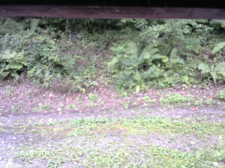 長野県菅平高原 ゆたか山荘 南側 2025/09/04 14:15