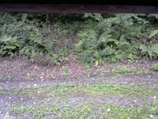 長野県菅平高原 ゆたか山荘 南側 2025/09/04 15:30