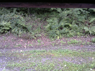 長野県菅平高原 ゆたか山荘 南側 2025/09/04 15:45