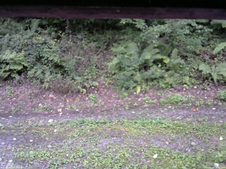 長野県菅平高原 ゆたか山荘 南側 2025/09/04 16:45