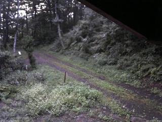 長野県菅平高原 ゆたか山荘 東側(坂下) 2025/09/04 05:15