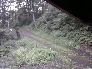 長野県菅平高原 ゆたか山荘 東側(坂下) 2025/09/04 06:15
