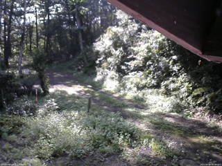 長野県菅平高原 ゆたか山荘 東側(坂下) 2025/09/04 08:00