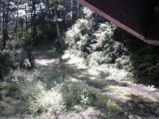 長野県菅平高原 ゆたか山荘 東側(坂下) 2025/09/04 08:15