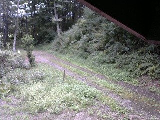 長野県菅平高原 ゆたか山荘 東側(坂下) 2025/09/04 10:30