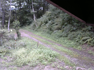 長野県菅平高原 ゆたか山荘 東側(坂下) 2025/09/04 12:15