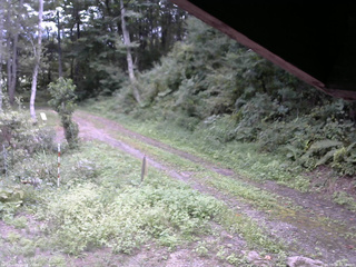 長野県菅平高原 ゆたか山荘 東側(坂下) 2025/09/04 12:30