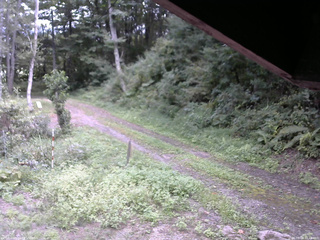長野県菅平高原 ゆたか山荘 東側(坂下) 2025/09/04 12:45