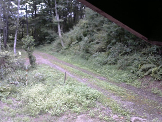 長野県菅平高原 ゆたか山荘 東側(坂下) 2025/09/04 13:00