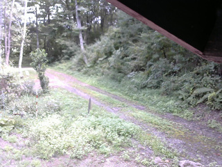 長野県菅平高原 ゆたか山荘 東側(坂下) 2025/09/04 13:15