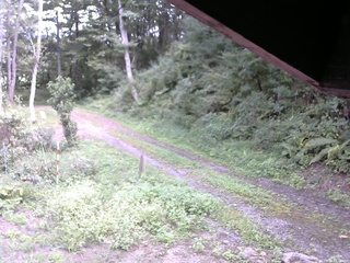長野県菅平高原 ゆたか山荘 東側(坂下) 2025/09/04 13:30