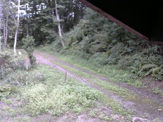 長野県菅平高原 ゆたか山荘 東側(坂下) 2025/09/04 13:45