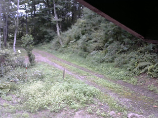 長野県菅平高原 ゆたか山荘 東側(坂下) 2025/09/04 14:00