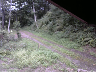 長野県菅平高原 ゆたか山荘 東側(坂下) 2025/09/04 16:15