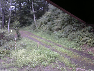 長野県菅平高原 ゆたか山荘 東側(坂下) 2025/09/04 17:15