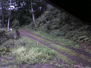 長野県菅平高原 ゆたか山荘 東側(坂下) 2025/09/04 18:00