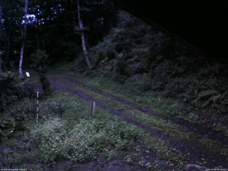 長野県菅平高原 ゆたか山荘 東側(坂下) 2025/09/04 18:15