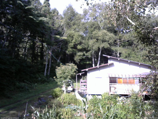 長野県菅平高原 ゆたか山荘 西側(坂上) 2025/09/04 08:00