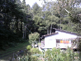 長野県菅平高原 ゆたか山荘 西側(坂上) 2025/09/04 08:15