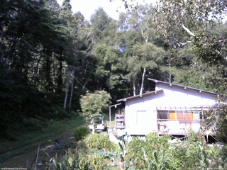長野県菅平高原 ゆたか山荘 西側(坂上) 2025/09/04 08:30