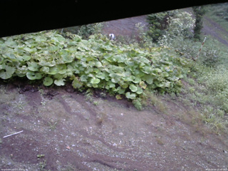 長野県菅平高原 ゆたか山荘 駐車場 2025/09/04 05:45