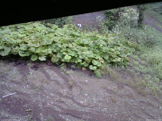 長野県菅平高原 ゆたか山荘 駐車場 2025/09/04 06:15