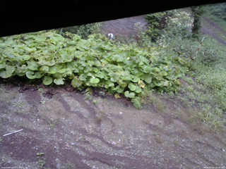 長野県菅平高原 ゆたか山荘 駐車場 2025/09/04 06:30
